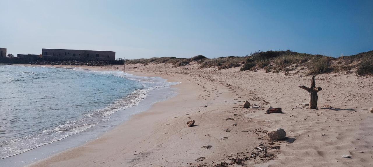 Casa Vacanza In Pieno Centro Storico Vicino Ostuni E La Riserva Di Torre Quaceto Сан-Вито-деи- Норманни Экстерьер фото